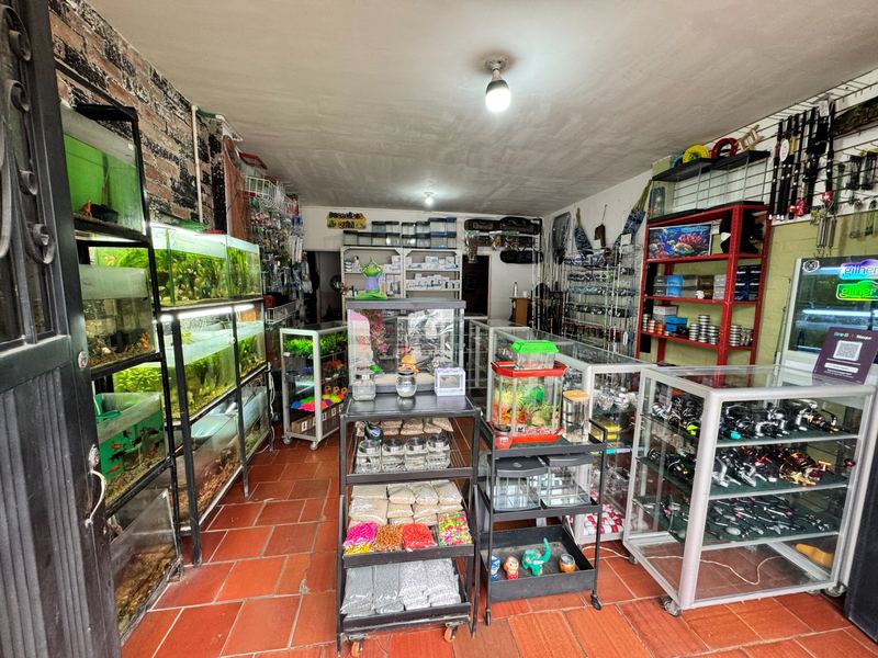 Interior de Pececitos Quili: acuarios con peces vivos a un lado y sección de pesca deportiva al otro
