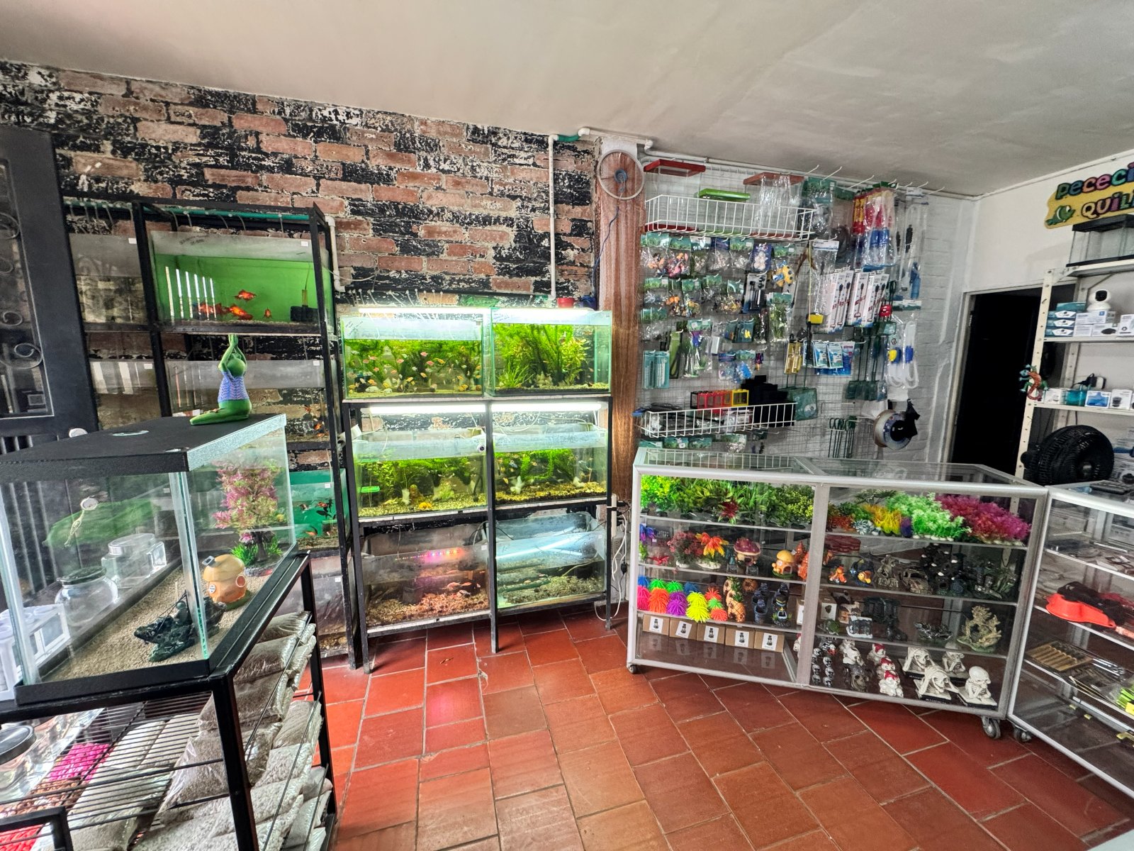 Acuarios plantados y vitrina de decoración para peceras en Pececitos Quili